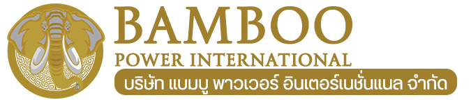 Bamboo Power International